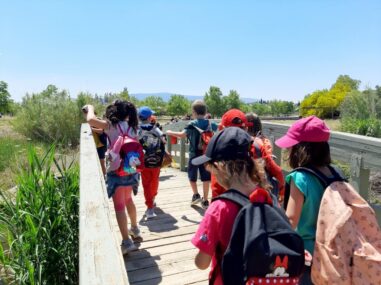 Περιήγηση και παρατήρηση της ορνιθοπανίδας στο Πάρκο Τρίτση.