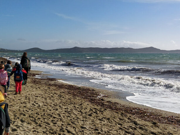 Χειμωνιάτικη δράση στο Εθνικό Πάρκο Σχινιά- Μαραθώνα