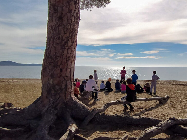 Παρατήρηση οικοσυστήματος και ξενάγηση ερμηνείας