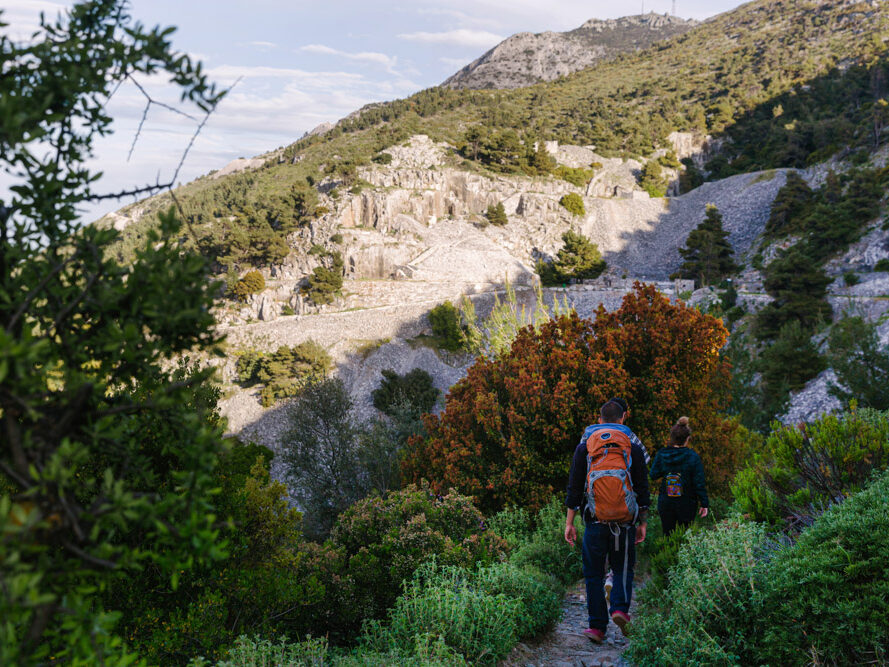 Πεζοπορία στην Πεντέλη- Διόνυσος