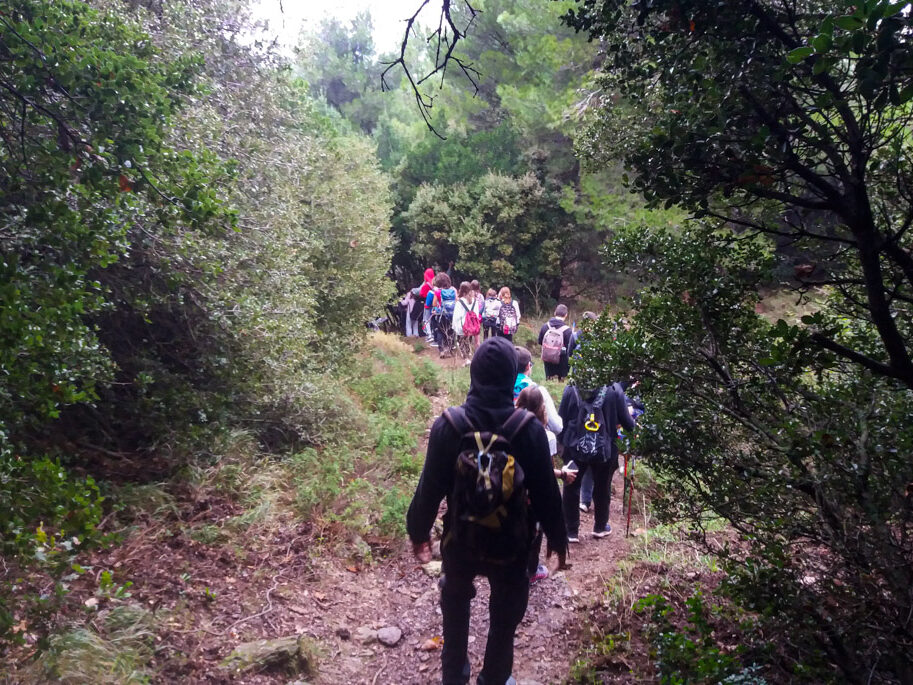 Πεζοπορία στην Πεντέλη- Διόνυσος