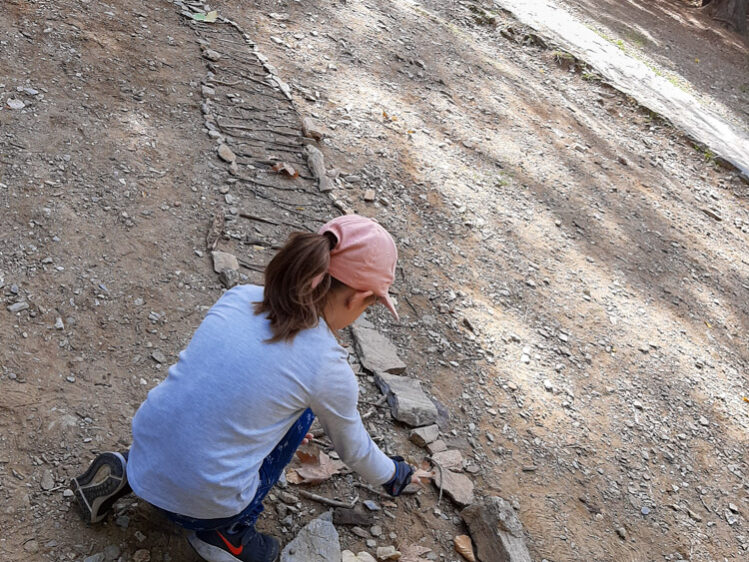 Land art στο δάσος