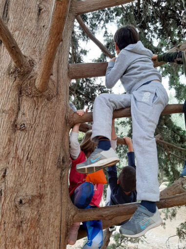 Σκαρφαλώνουμε στα δέντρα