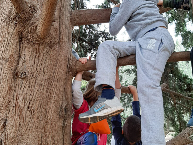 Σκαρφαλώνουμε στα δέντρα