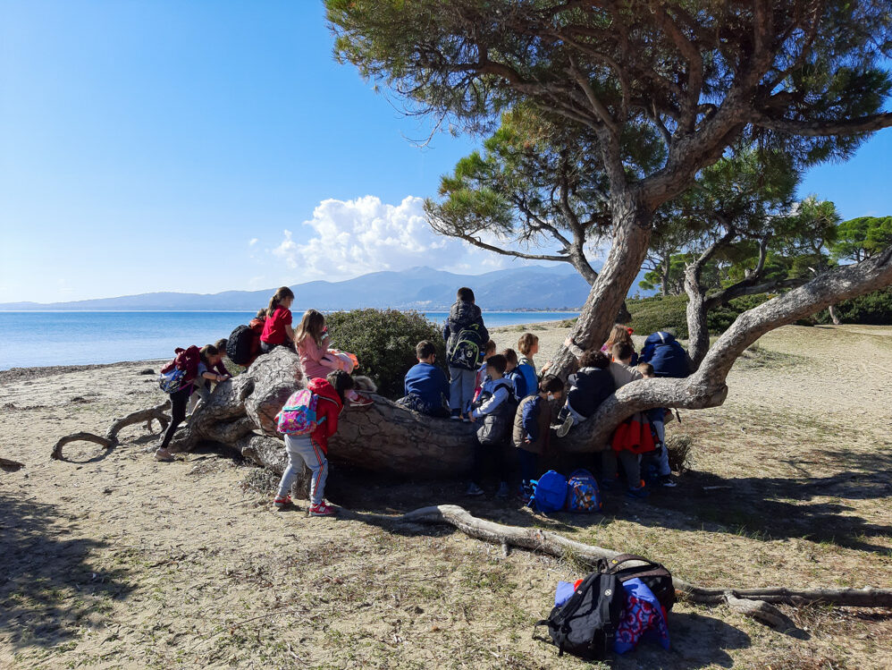 Παιχνίδι με φυσικά υλικά