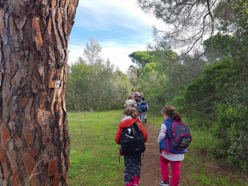Πεζοπορία στο Εθνικό Πάρκο Σχινιά- Μαραθώνα