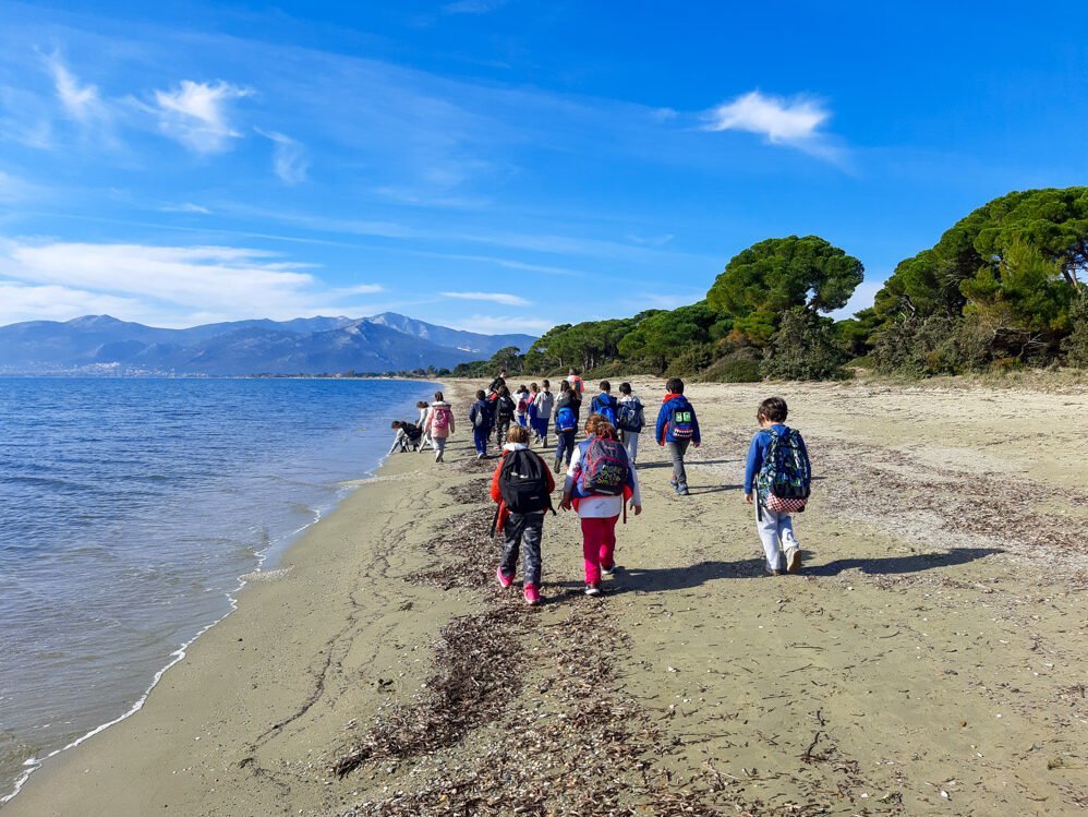 Δάσος και θάλασσα μαζί. Δράση στο Εθνικό Πάρκο Σχινιά- Μαραθώνα
