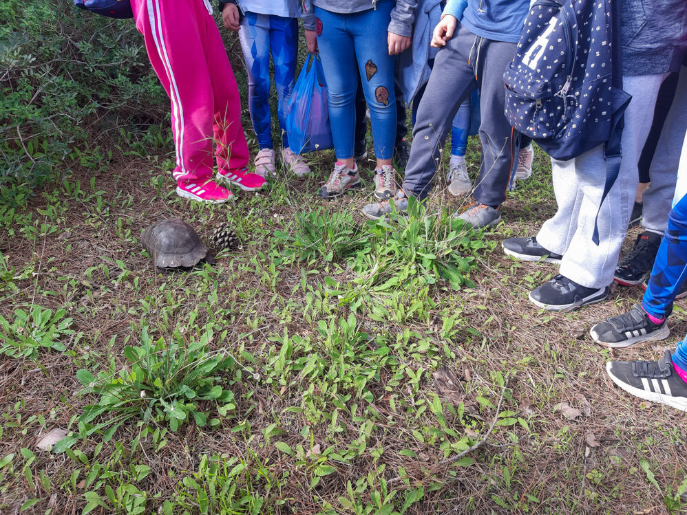 Χαρούμενες συναντήσεις