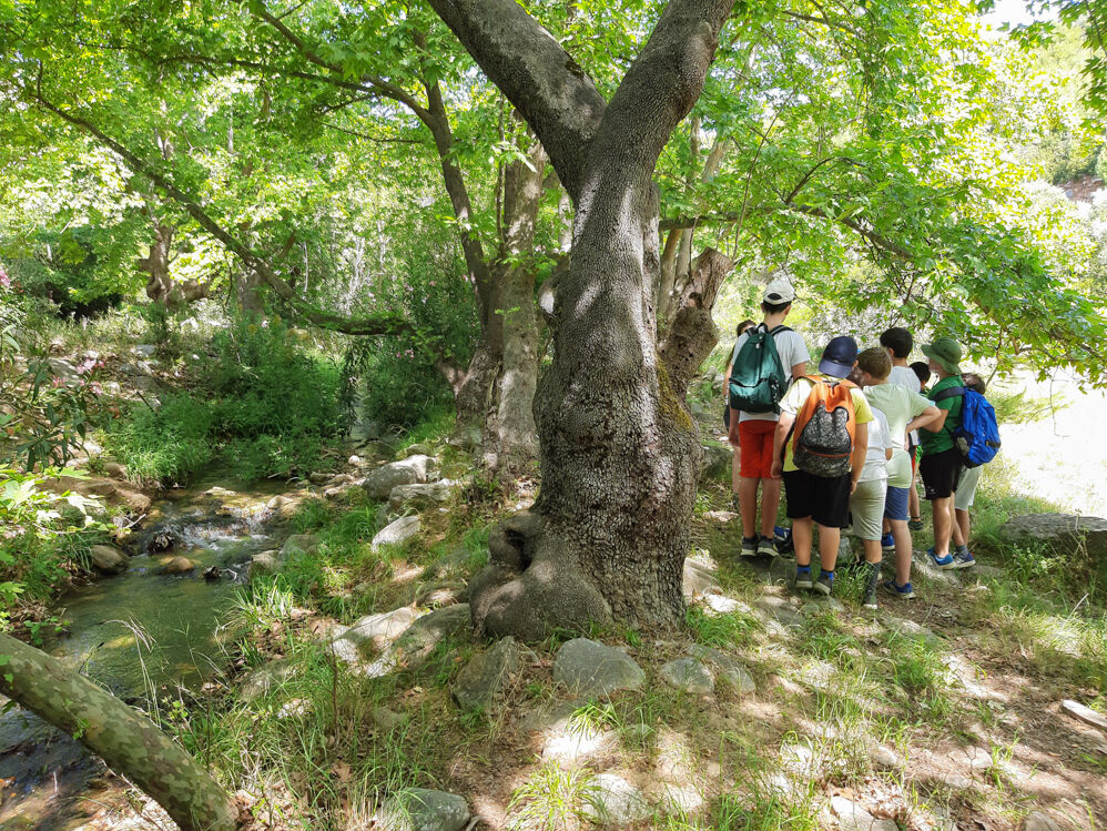 Φαράγγι Οινόης- παρατήρηση σπάνιας χλωρίδας