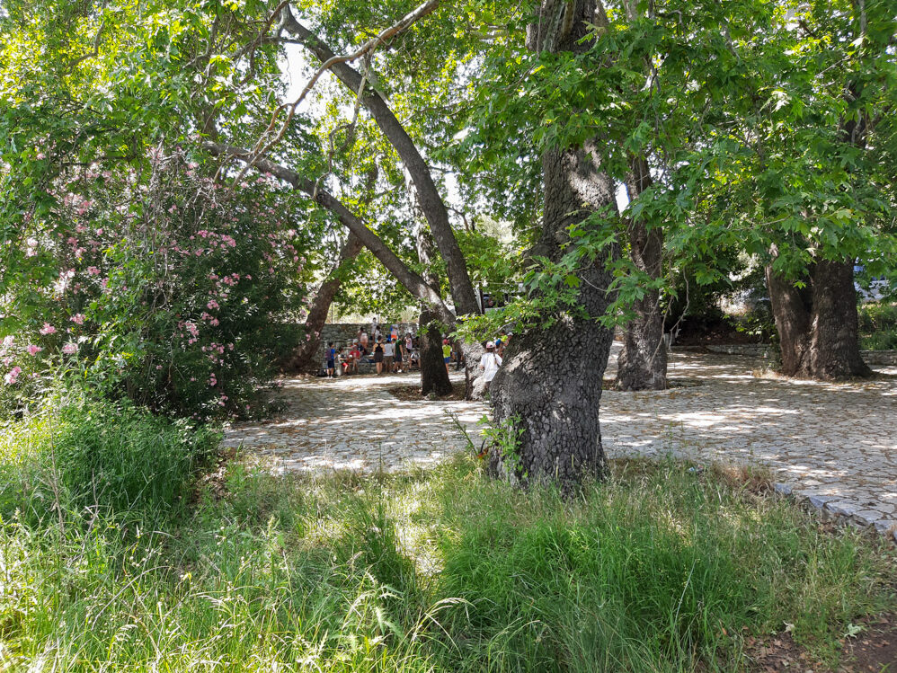 Εξόρμηση στο φαράγγι της Οινόης