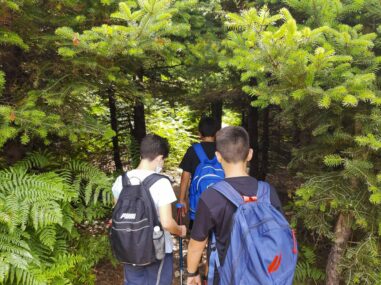 Διήμερη εξόρμηση στη Δίρφη- Εύβοια