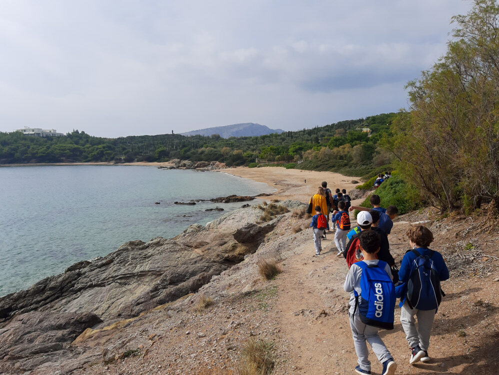 Πεζοπορία στα μονοπάτια του Εθνικού Δρυμού Σουνίου