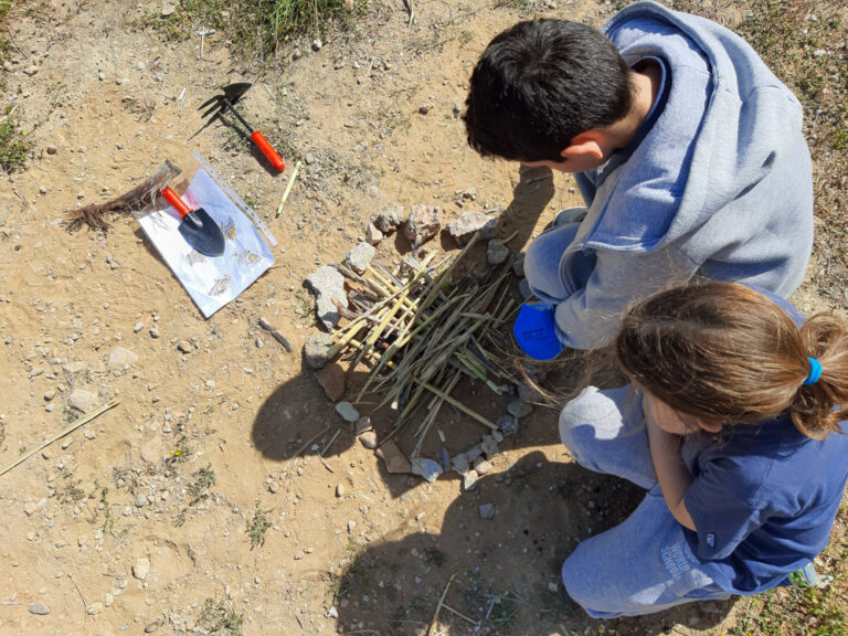 Παιχνίδι διαβίωσης στην ύπαιθρο