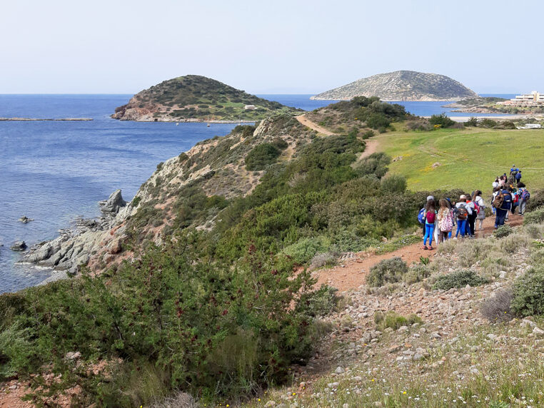 Πεζοπορία στα μονοπάτια της Αθηναϊκής Ριβιέρας (3)