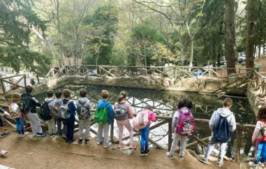 Ψάχνοντας τα χελωνάκια στον Υμηττό