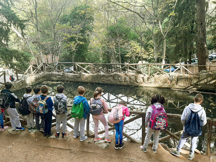 Ψάχνοντας τα χελωνάκια στον Υμηττό