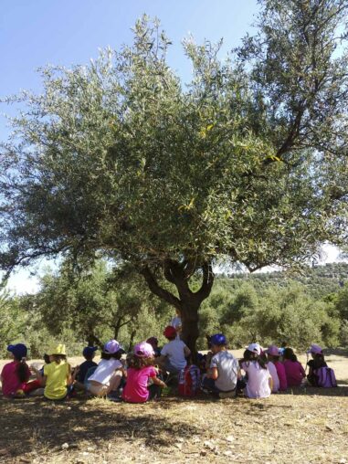 Ομαδικά παιχνίδια στον ελαιώνα