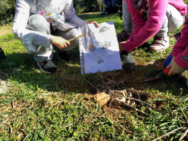 Παιχνίδι διαβίωσης στην ύπαιθρο