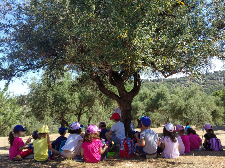 Ομαδικά παιχνίδια στον ελαιώνα