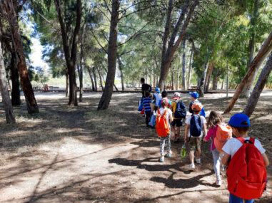 Περιβαλλοντική περιήγηση στο Πάρκο Τρίτση