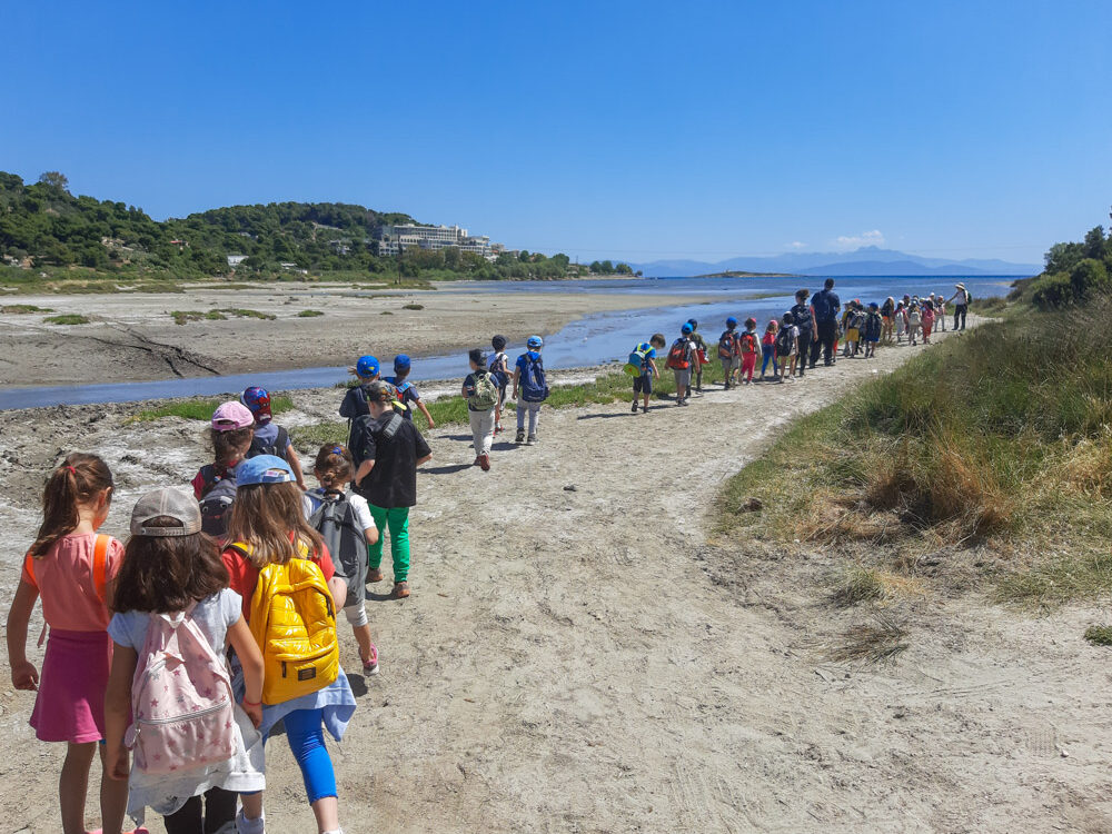 Στο δέλτα του ποταμού Ερασίνου