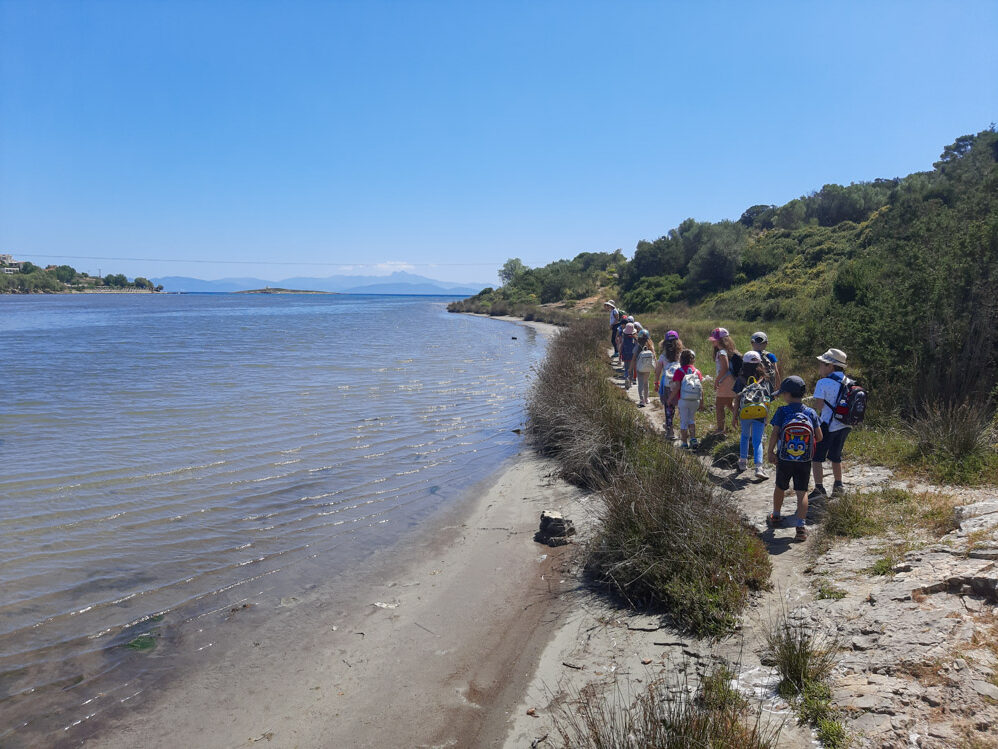 Εξερευνούμε την πανίδα στον Υγρότοπο Βραυρώνας