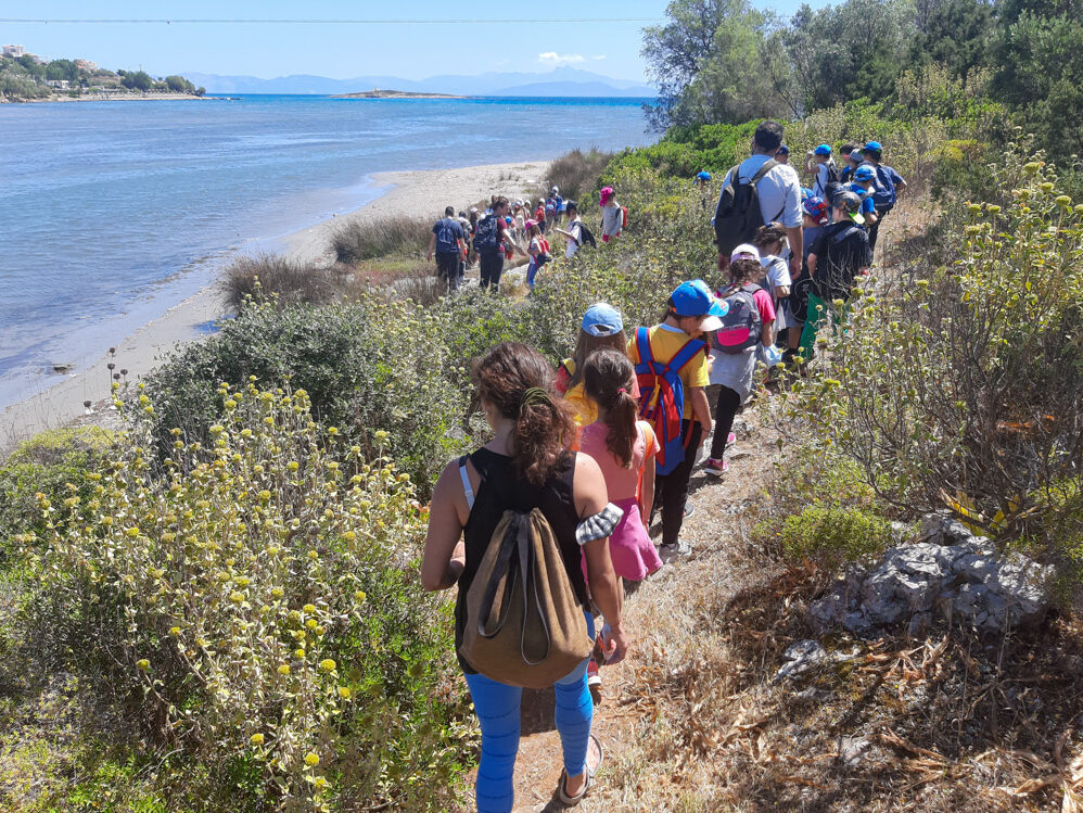 Αρχαιολογικός χώρος και Υγρότοπος Βραυρώνας