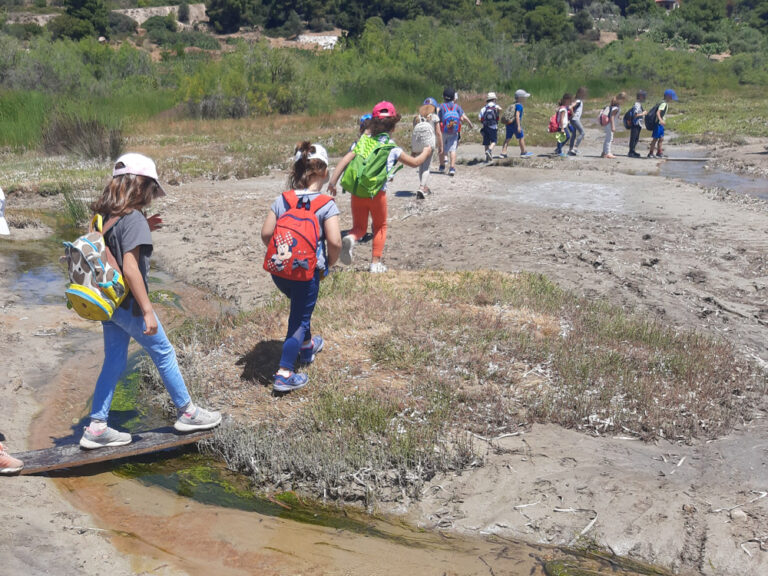Υγρότοπος Βραυρώνας. Εξερευνούμε το δέλτα του ποταμού Ερασίνου