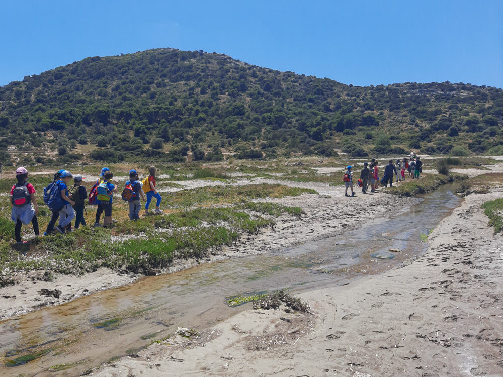 Υγρότοπος Βραυρώνας. Εξερευνούμε το δέλτα του ποταμού Ερασίνου