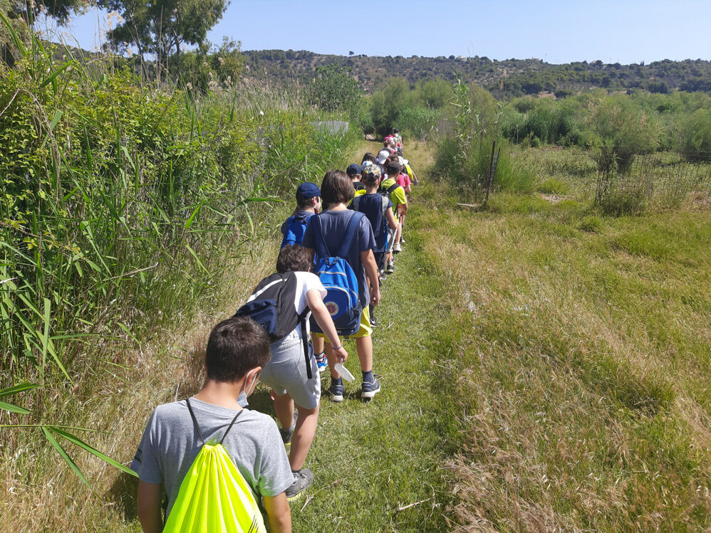 Αρχαιολογικός χώρος και Υγρότοπος Βραυρώνας