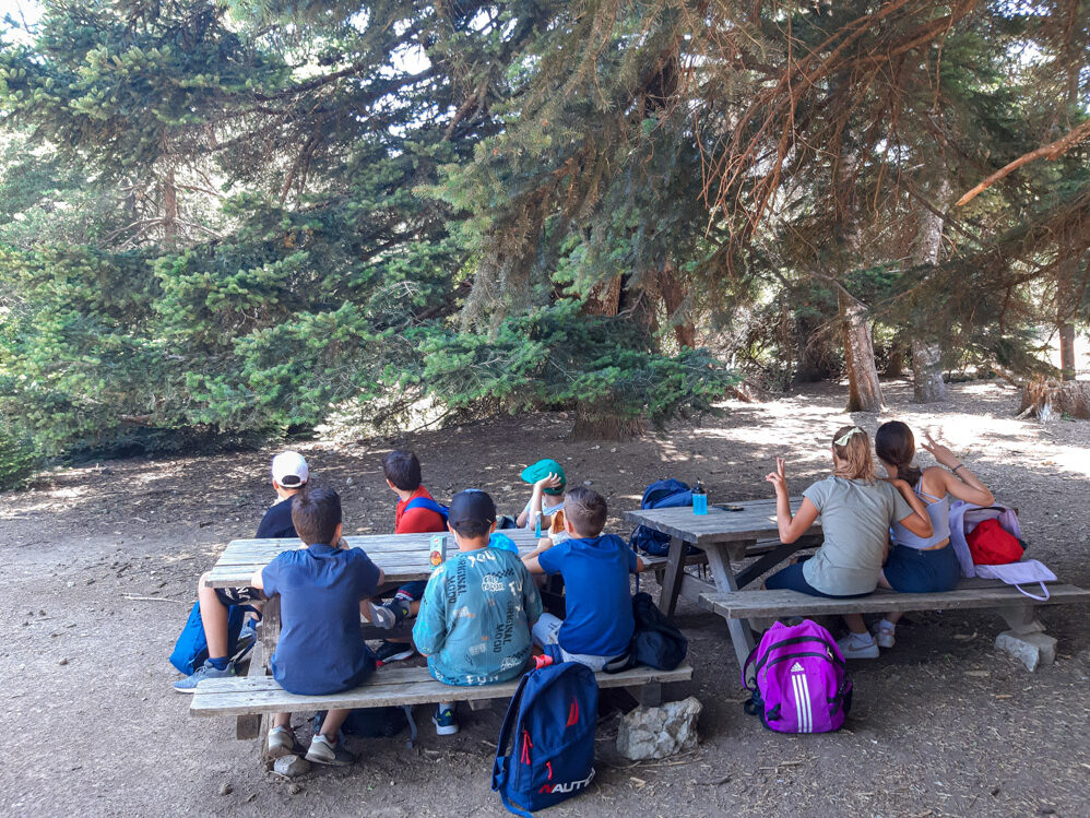 Πάρνηθα - οροπέδιο Μόλας