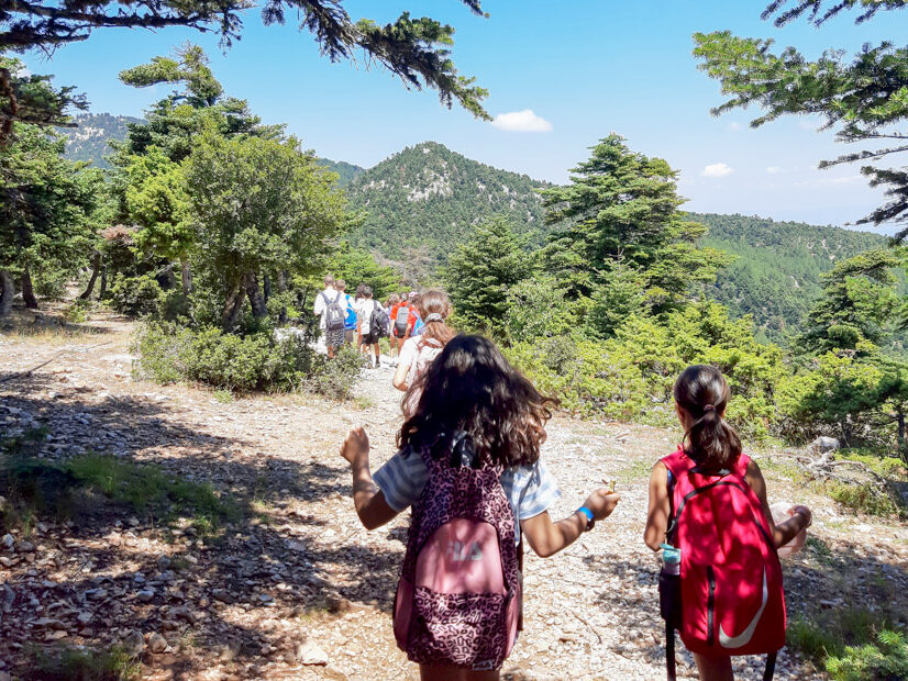 Πεζοπορία στον Εθνικό Δρυμό Πάρνηθας