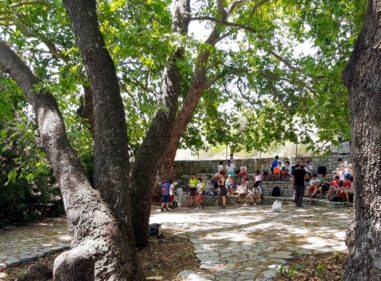 Φαράγγι Οινόης